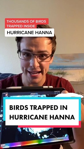 Birds Trapped in Hurricane Hanna: A Meteorologist's Insight