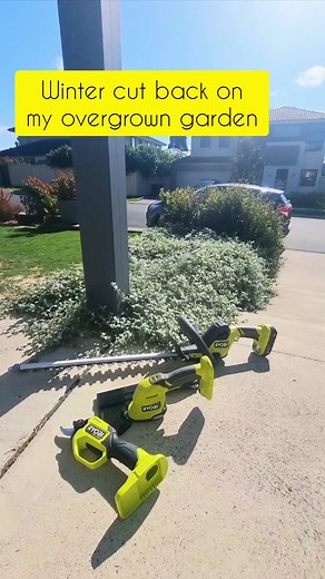 Getting my garden back under control with the @Ryobi Australia 18V ONE Range of Pruning Products available from Bunnings In Store, Online or Click & Collect. #RyobiMade #obsessivelawnie