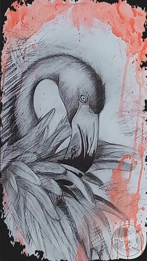 Flamingo Drawing Time-Lapse - Charcoal Art Tutorial