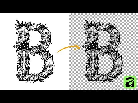 How to Remove a White Background and Make It Transparent in Affinity 3.0