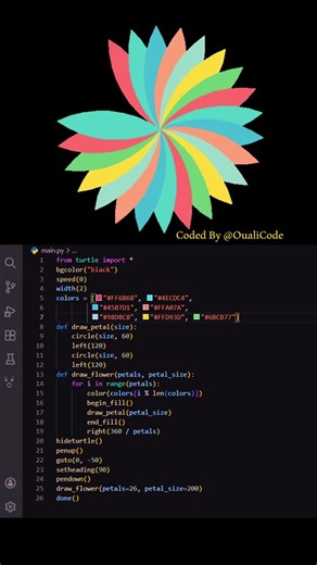 #python #oualicode #correctcoding #javascript #programming #coding #graphics