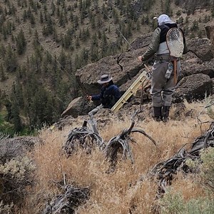 Littleleaf Guides on Reels | Facebook