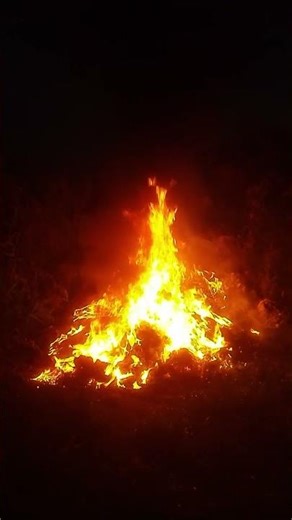 Cozy Fireplace Sounds