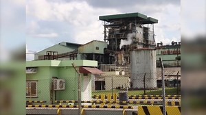 B.S.I. Attorney Says Inquiry as Invasive as Sugar Import/Export...