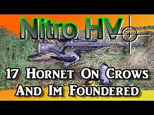 Nitro HV 17 Hornet On Crows And I'm Foundered