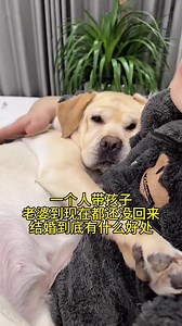 Another exhausting day. #doglover #cute #puppylove #doglovers #doglife #pet #dog #love #pets #cat #puppies #puppy | Annie