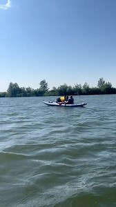 Beaker is a pirate! #dogs | Bunsen Berner