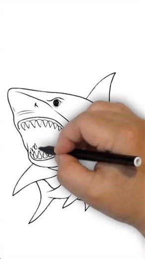 How to draw a great white shark #drawing #art #sketch #draw #share