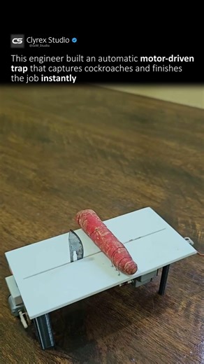 This Trap Works… Too Well