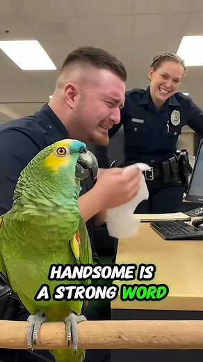 2.9K views · 48 reactions | #parrot #entertainment | Emily De Robles Mendoza | Facebook