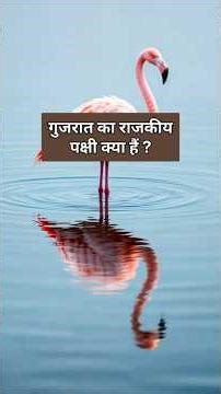 State Birds of All Indian States | Complete GK List 🇮🇳