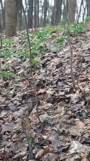 The Beauty of Autumn and the Art of Winter