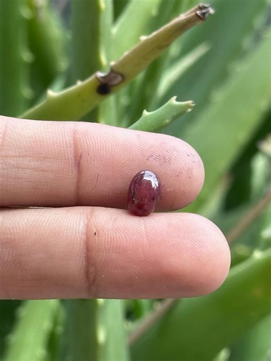 Natural Ruby Oval Cabochon Glass Filled – Deep Red Loose Gemstone - Etsy