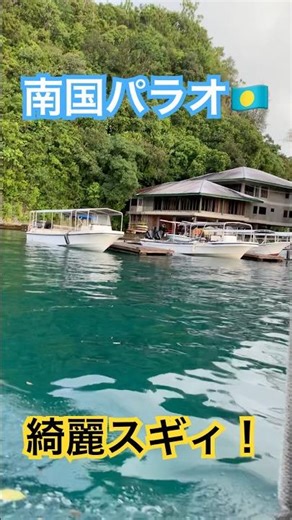 【絶景】パラオの海 #shorts #旅行 #海外旅行