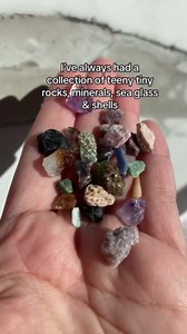 Amazon.com: Acrylic Magnetic Seashell Display Box, Seashell Storage Box Display Case Decorative Seashell Starfish Trinket, Small Craft Organizers Container for Bead, Nail, Jewelry (100 Grids) : Home & Kitchen