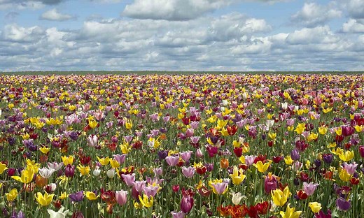 Best Earth Day Songs: 30  Save The Environment Classics