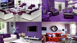 purple colour combination for living room