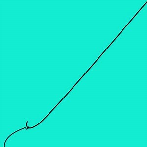 180 reactions · 137 shares | Want to make sure you don’t lose your prized lure? Use the improved clinch knot! | TAHOE Sport Boats | Facebook