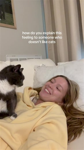 Understanding My Clingy Cat's Behavior