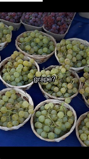 Q: What did the green grape say to the purple grap... #shorts