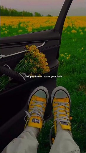 Ed Sheeran - Shape of you (Lyrics) | "Girl you know I want your love" | #edsheeran