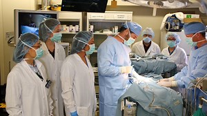 Lentiviral Vector-mediated Gene Therapy of Hepatocytes Ex Vivo for Autologous Transplantation in Swine