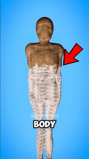 If You Ever Wondered What Really Happened During Egyptian Mummification 🤔