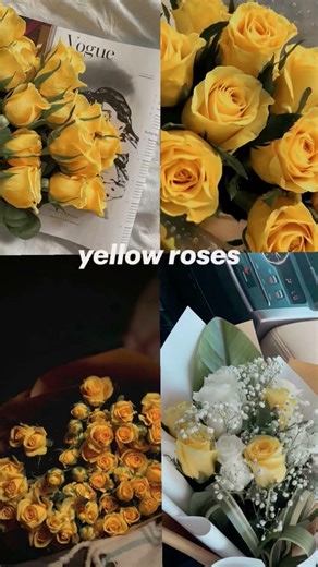 which #one# your# favorite #roses 💗🌹