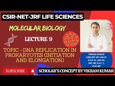 DNA Replication in Prokaryotes | Okazaki Fragment | Leading and Lagging Strand