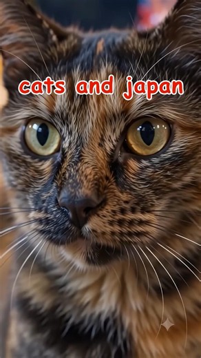 猫と巡る日本の絶景 大阪編｜Exploring Japan with a Cat in Osaka：万博夏まつり、太陽の塔と夜空に輝くサビ猫 #猫 #cat #Japan #万博夏まつり2026
