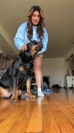 72K views · 2.8K reactions | 00083_POV You Woke Up Mr.grumpy Pants  #rottweileler #rottweilersoftiktok #petsoftiktok #doggiesoftiktok(2) | Neath Path | Facebook