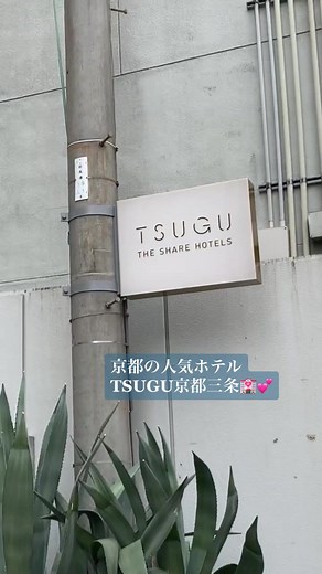 【Hotel Tour】京都の人気ホテルでデイユース女子会してきた☺️🌼詳しくはYouTubeへ！！ 🏃‍♂️💨💨#TSUGU #tsugu京都三条 #京都ホテル #京都 #ホテル女子会 #ホテル #ホテルルームツアー #ホテル好き #おしゃれな人と繋がりたい #vlog #デイユース