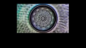 3.1K views · 31 reactions | Magnifique exemple de l'unité que nous formons. Nous sommes Un et à chaque fois qu'un être comprend qu'il est aussi l'autre, que "toi c'est moi", nous pouvons harmoniser nos pensées et vibrations. L'eau étant le véhicule de la vie, c'est par cet élément que la plupart des informations essentielles transitent. La nature nous parle, écoutons la. | NaturaSounds | Facebook