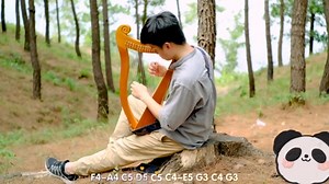 19-String Celtic Irish Lyre Harp, Solid Mahogany Lever Harp with 3-Hole Resonance Design, with Tuning Wrench and Storage Bag, for Adult, Kids, Beginners and Music Lovers