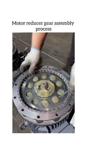 Engineering and Technology | The motor reducer gear assembly process typically involves several key steps: first, individual gears are inspected and cleaned; then,... | Instagram
