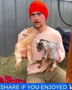 24M views · 218K reactions | Bridgette rides the #1 amateur tiny bucking bull…& wins! She has to find time to feed her kitten…you don’t want to miss the new song her goats sing at the end!  | Plant Based Gabriel | Facebook