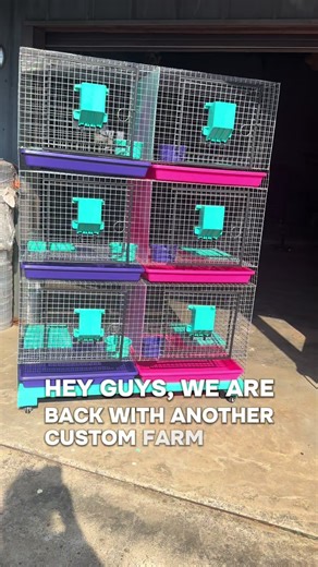 Custom Durable Rabbit Cages for Breeders