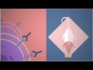 IRB Barcelona: Targeting metastasis-initiating cells through the fatty acid receptor CD36