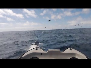 Pond Prowler in SUPER Rough Water and Chop? Watch THIS!