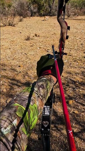 BobCat High Step #hunting #archery #bowhunt