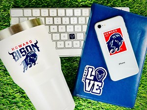 Howard University Stickers: 2 Large 5" for Car Windows, 10 Medium 2" for Water Bottles, 2 Mini HU Bison Sticker Gift Set (14 Stickers) - Etsy