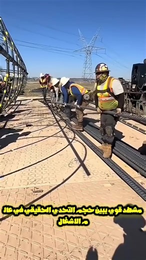 Discover Yellowstone: Nature's Majestic Wonders