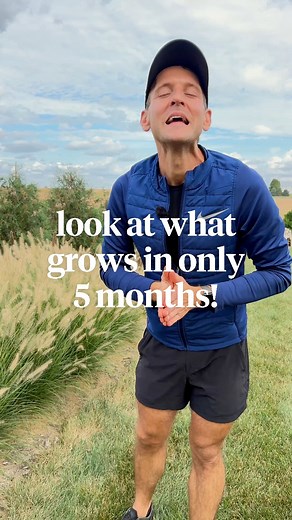 159K views · 5.3K reactions | I’ve always been a fan of planting perennials, but let me show you why I love them so much! | Wyse Guide | Facebook