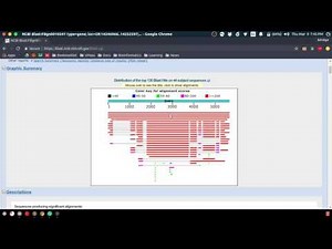 BLAST Tutorial - UMass BIO 283 - Prof. Markstein General Genetics