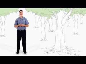 Shredding Paper and the Environment