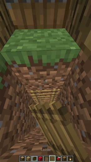 Minecraft Smallest House 💀 #minecraft