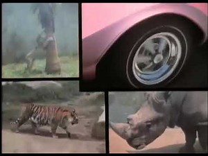 🔸The Pink Panther Show Intro 1969