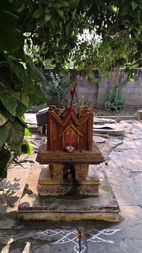 #Morning vibes#nature#sunrise