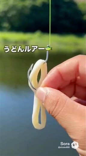 うどんワームでブラックバスを狙ったらアメナマ！#ルアーフィッシング #ワーム#うどん#バス釣り