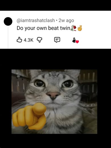 chat i might have cooked🙏 #producer #producertok #flstudio #fyp #beat | Cat Cooking Meme